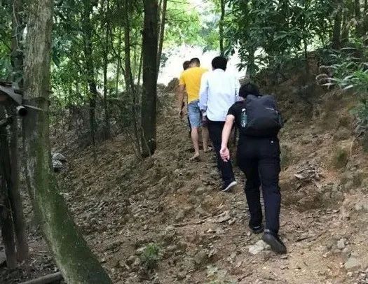 lol低价卡盟_卡盟英雄联盟_英雄联盟卡盟是什么