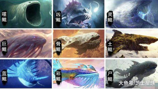 英雄联盟卡盟是什么_联盟卡是什么意思_卡盟英雄联盟