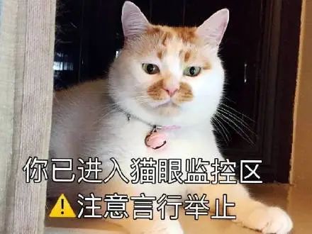 游戏外挂_游戏辅助器免费开挂_游戏开挂神器
