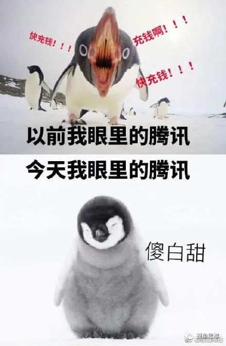 腾讯状告老干妈背后：一场 1642 万的投放合同引发的逗鹅冤