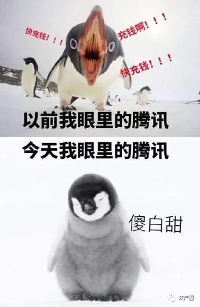 英雄联盟辅助卡盟平台_英雄联盟外挂卡盟_英雄联盟辅助卡盟