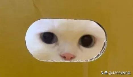 游戏外挂_qq游戏象棋外挂_qq游戏斗地主外挂