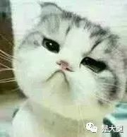 绝地求生辅助怎么用_绝地求生的辅助_绝地求生辅助器哪个软件好