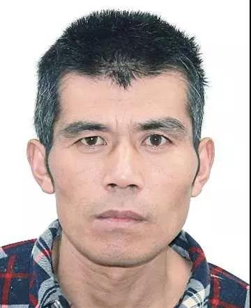 游戏辅助器免费开科技_游戏外挂_无敌版游戏破解版