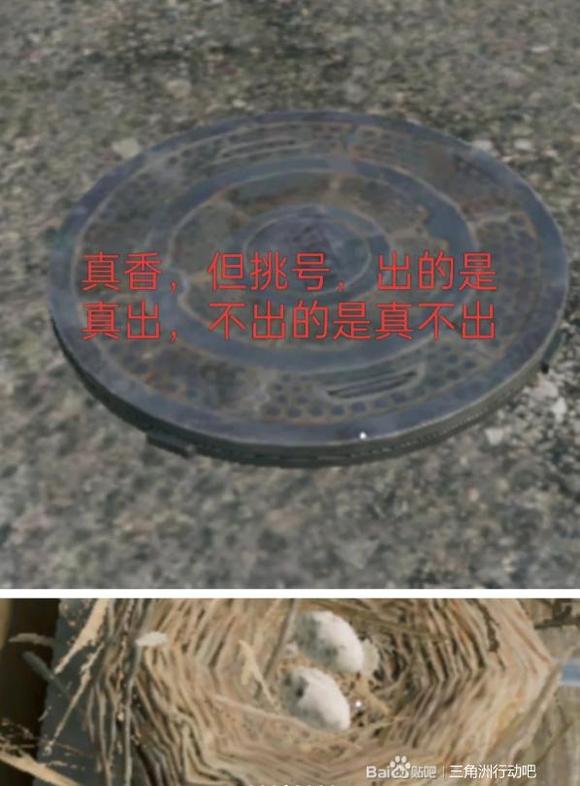 三角洲行动攻略_萌新三角洲烽火地带攻略_三角洲烽火地带物资收集技巧